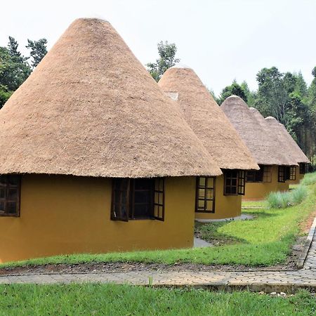 Kibale Guest Cottages Fort Portal Kültér fotó