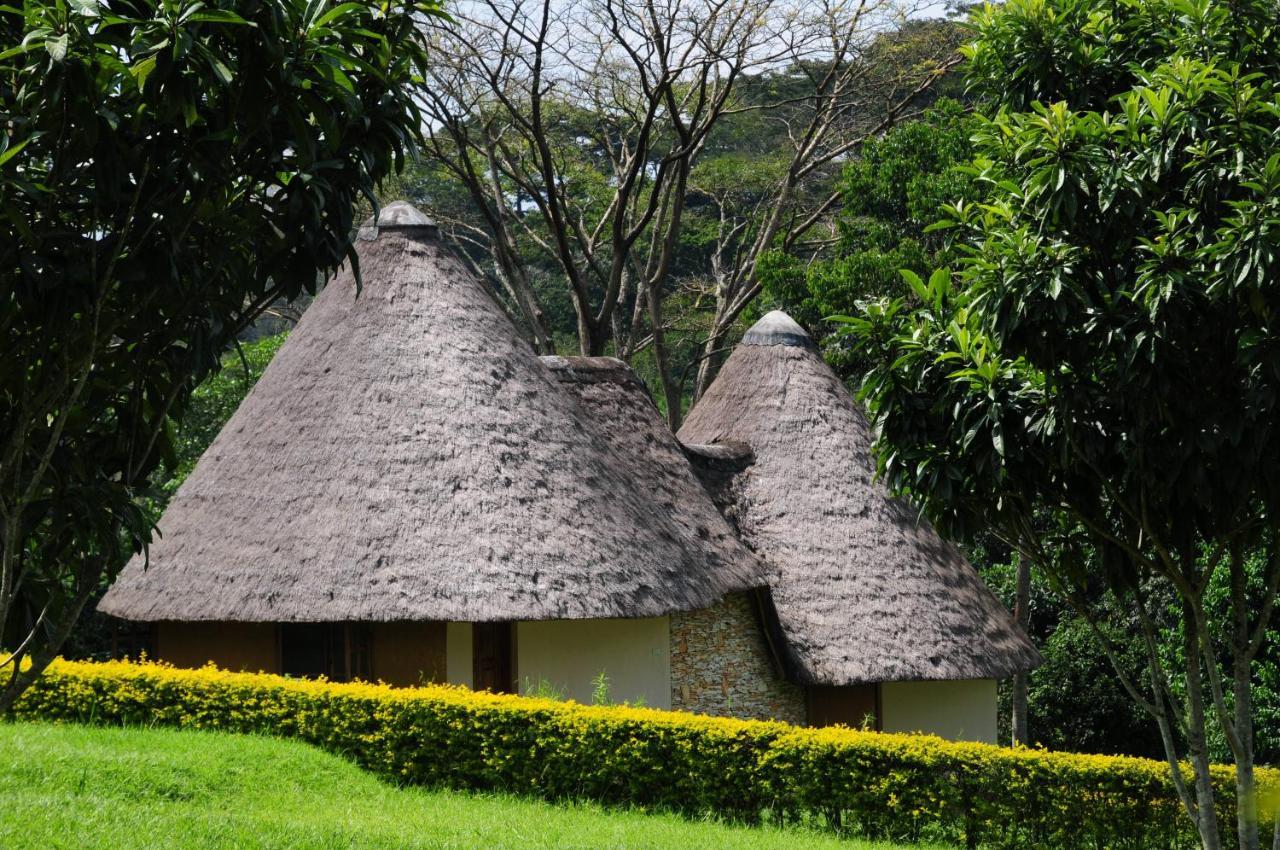 Kibale Guest Cottages Fort Portal Kültér fotó